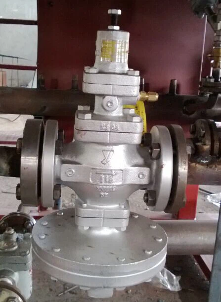 EPS Pre-expander Manufacturers